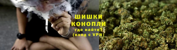 амф Надым