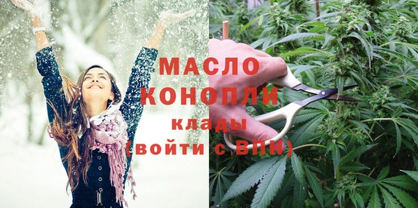 амф Надым