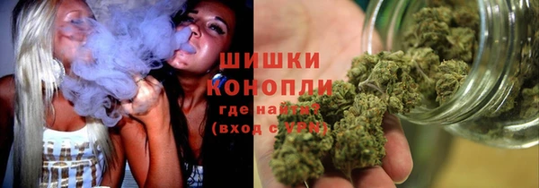 амф Надым