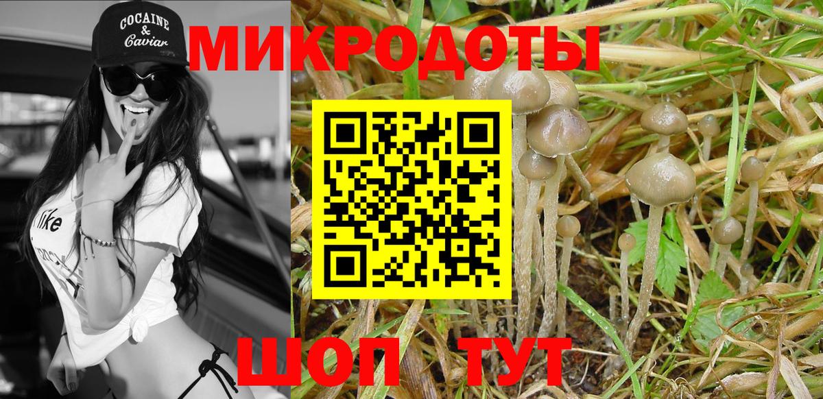 Псилоцибиновые грибы ЛСД Чита