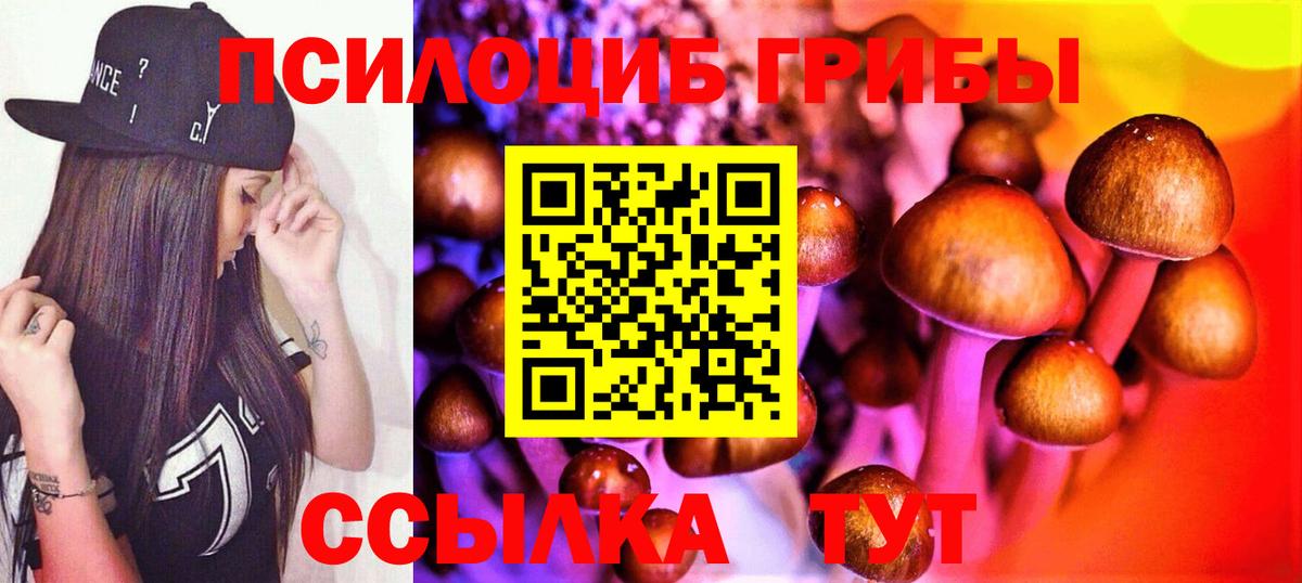 Чита  Галлюциногенные грибы Cubensis  Вход с VPN  Галлюциногенные грибы Psilocybe 